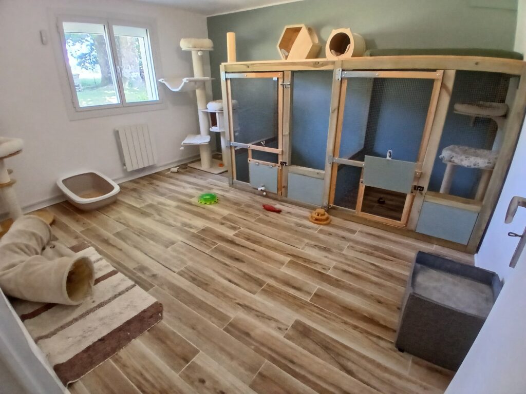 Pièce plus calme du collectif avec box adaptation de la pension pour chats