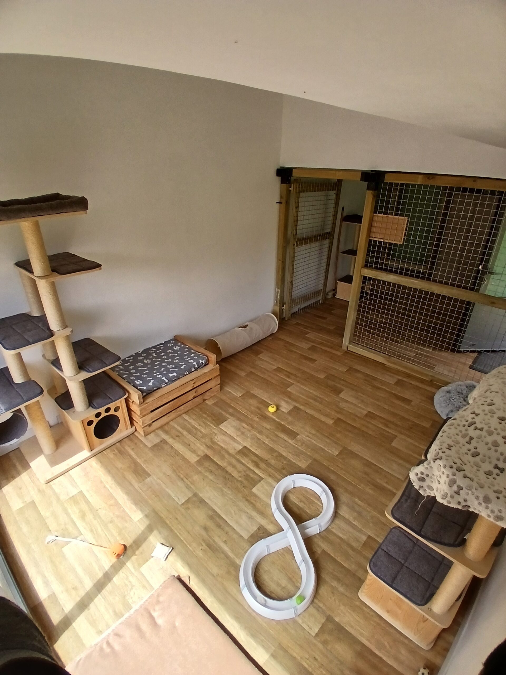 Autre vue de l'espace intérieur du logement individuel de la pension pour chats.