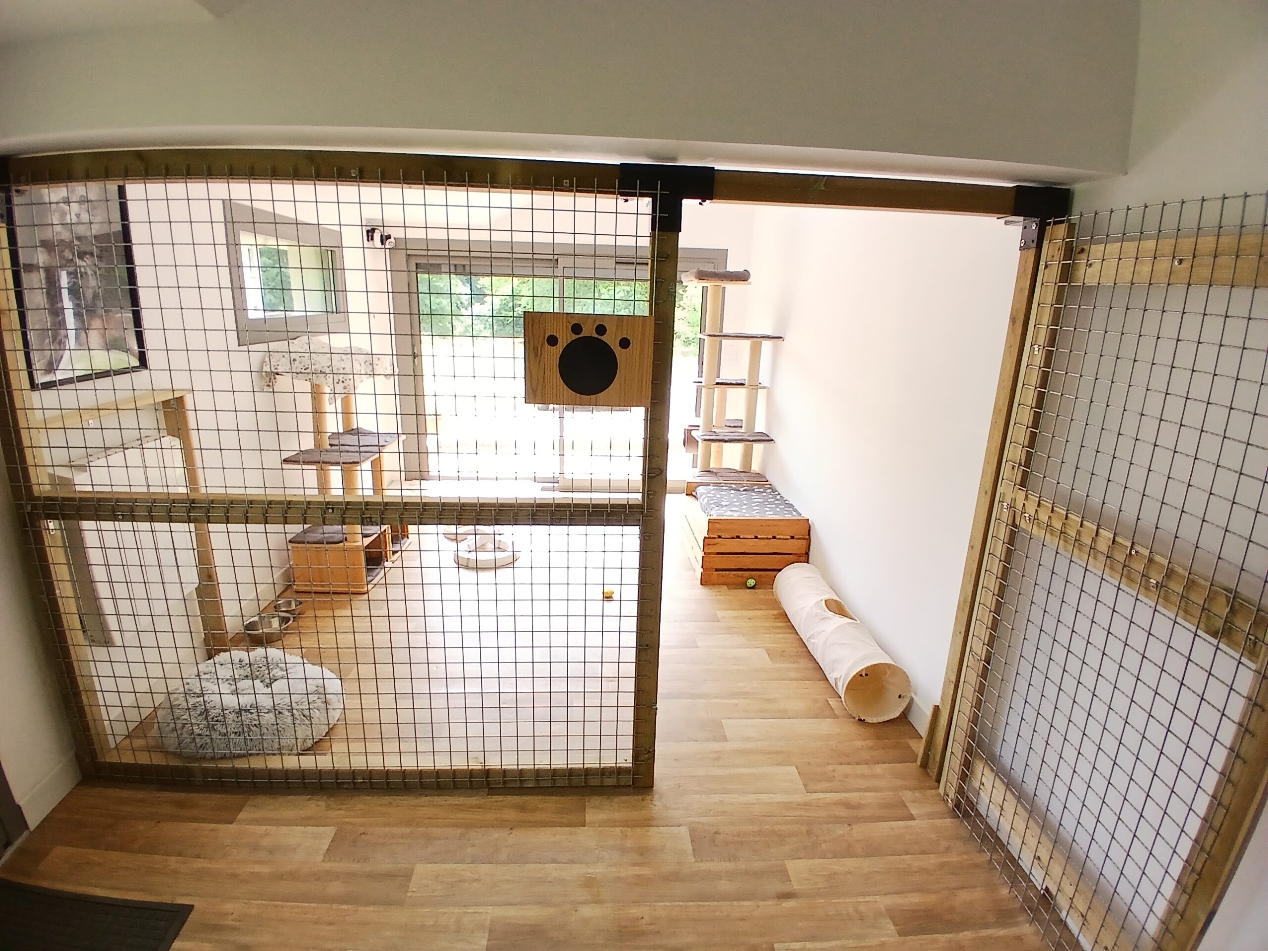 L'espace intérieur d'un logement individuel de la pension pour chats